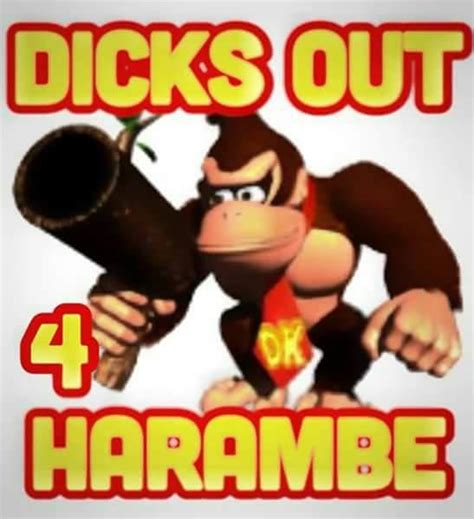 Dicks Out 4 Harambe Harambe The Gorilla Know Your Meme