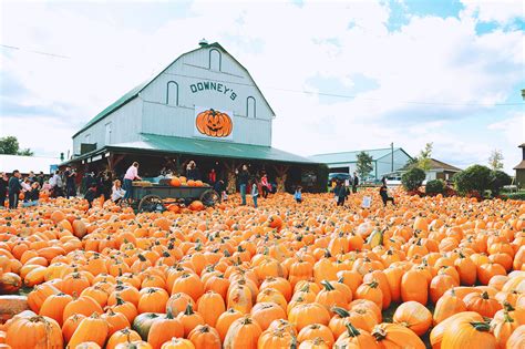 These Are Some Of The Most Picturesque Pumpkin Patches And Farms To