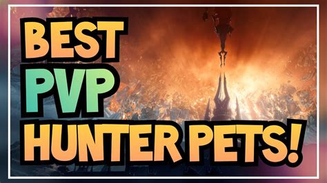 Best Hunter Pets For Pvp In 2020 Arena Battlegrounds World Pvp