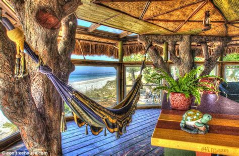 The Gorgeous Florida Tree House Whose Owners Have Been Ordered To Tear