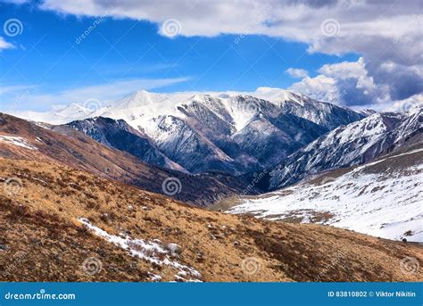 Dry Vegetation Of Mountain Tundra In Early Spring Stock Photo Image