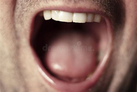 Male Lips Stock Photo Image Of Pink Mouth Macro Fresh 43877282