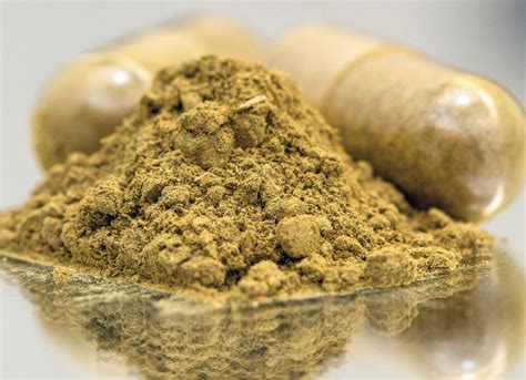 Is Kratom The Popular Herbal Supplement Dangerous Tmc News
