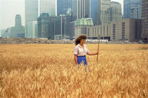 A Wheatfield In The Heart Of Manhattan 1982 Rare Historical Photos
