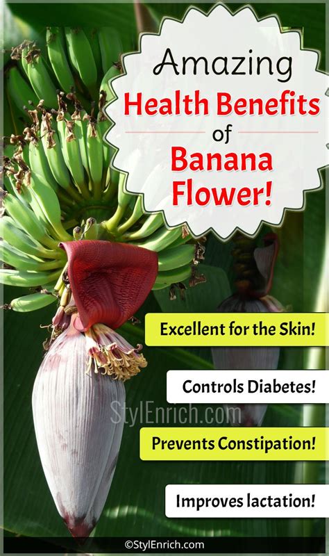 Health Benefits Of Banana Flower That You Never Know Before