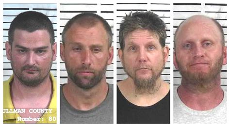 ccso weekly arrest roundup the cullman tribune