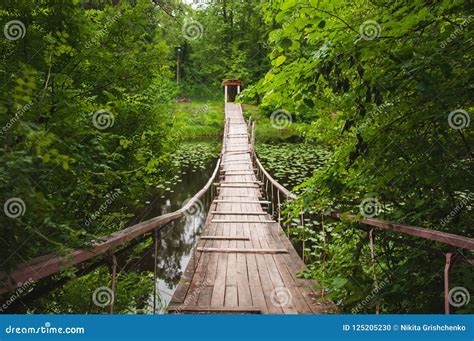 Hanging Or Suspension Bridge In The Forest Stock Photo Image Of