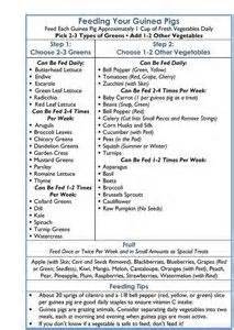 Fresh hay and fresh leafy vegetables should make up the bulk of your guinea pig's diet. Guinea Pig Food List