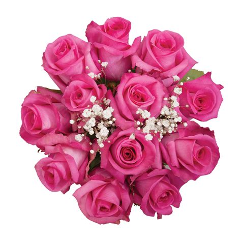 Dozen Hot Pink Roses Bouquet Pack 18 Bloomingmore