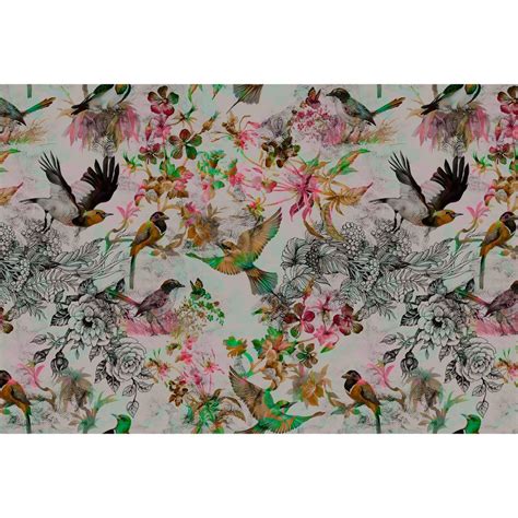 Livingwalls Fototapet Walls By Patel Funky Birds 1 Wall Artdk