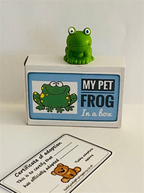 My Pet Frog In A Box Matchbox Mini Novelty Silly T Etsy
