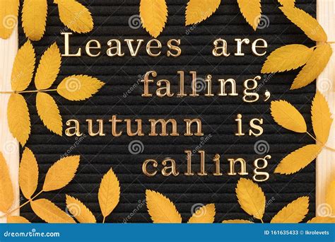 Leaves Are Falling Autumn Is Calling Motivational Quote On Letter