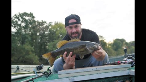 Smallmouth Bass Fishing Rigs Fat Fall Delaware River Smallmouth Bass