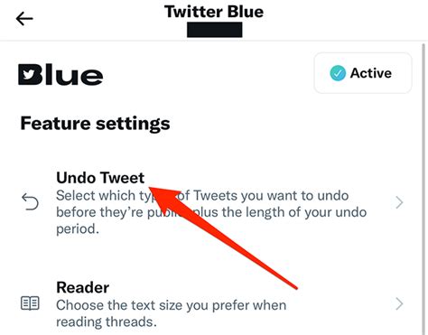 Twitter Blue How To Change Your Undo Tweet Settings