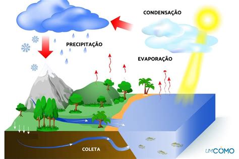 Como Ocorre O Ciclo Da água Na Natureza Conheça As Fases Desse Processo