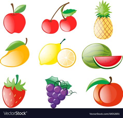 Different Types Of Fruits Royalty Free Vector Image