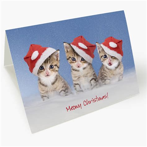 Kitten Meowy Christmas Card Cat Kitten Christmas Cards