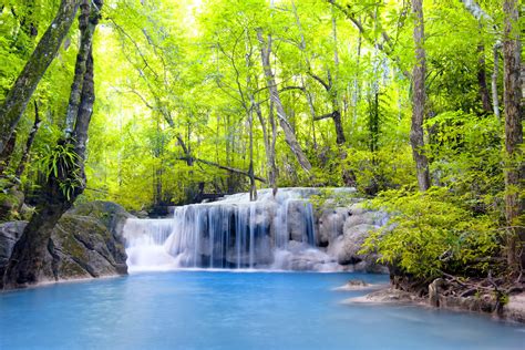 Waterfall River Waterfall Emerald Forest Landscape Forest