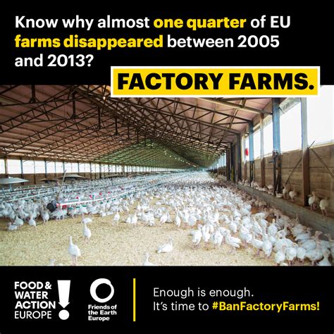 The Urgent Case To Stop Factory Farms In Europe Food And Water Action