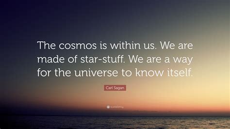 Alan watts quote you are the universe experiencing itself sticker. Carl Sagan Quote: "The cosmos is within us. We are made of star-stuff. We are a way for the ...