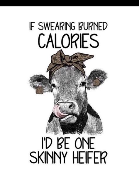 Pin By Lori Wilkerson On Funny Stuff Cow Quotes Funny Quotes Funny