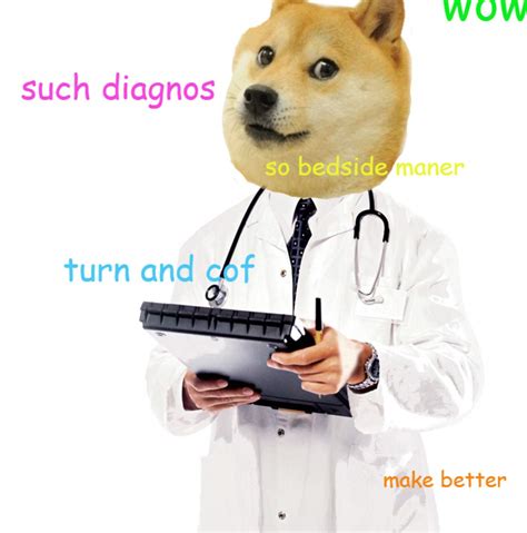 Doctor Doge Wiki Pokemon Sword And Shield😊 Amino