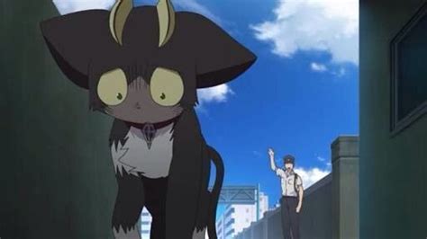 28 Best Anime Cats Felines Of All Time 22 Anime Blue Exorcist Anime