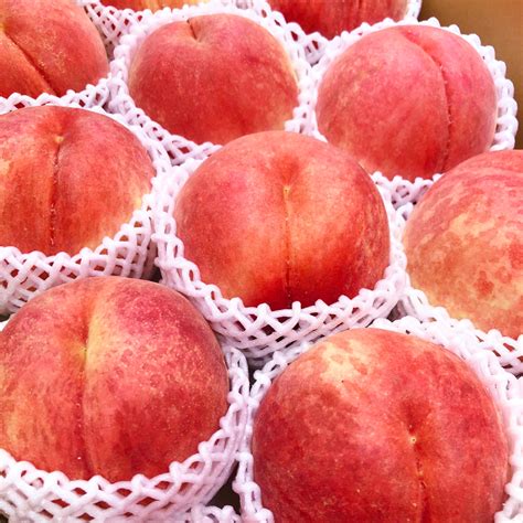 Japanese Yume Kaori White Peach Tokushu Grade High Sweetness — Momobud