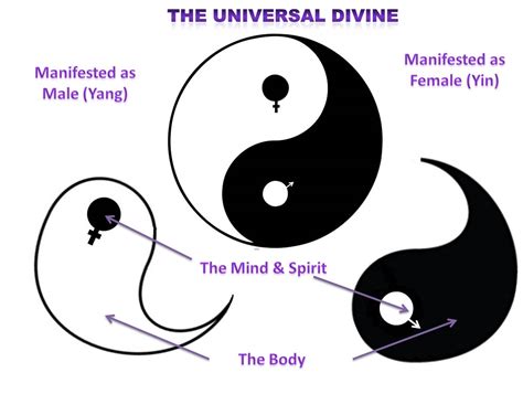 quotes about yin yang quotesgram