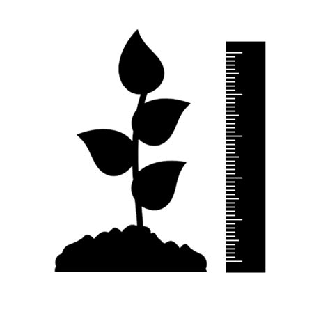 Plant Height Icon Plant Physiology Icon Png Clipart Large Size Png