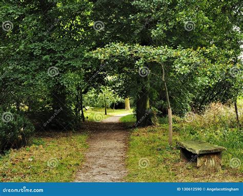 Path Through Grass And Trees With A Wooden Bench Stock Photo Image Of