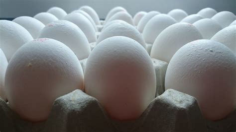 Can You Spot Which Egg Comes From A Healthy Chicken Here Are Few Tips