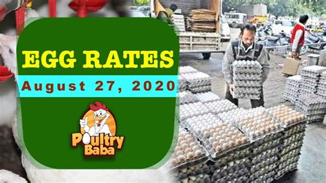 Egg Rate Position Daily Egg Rates Egg Prices Today Poultry Rates Egg