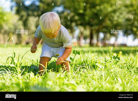 Cute Little Boy Playing In The Garden Stock Photo Alamy