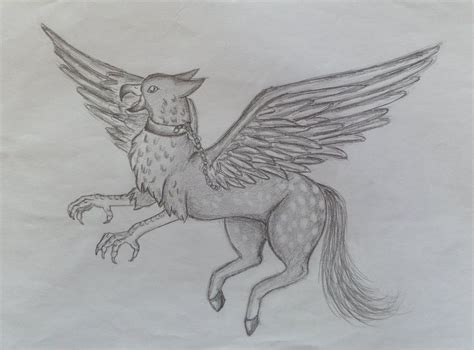 29 Harry Potter Buckbeak Drawing Byevirsusiyati