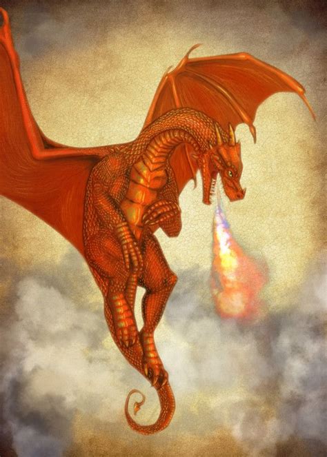 Mythological Dragons Orange Displate Artwork By Artist Eva Nev Part
