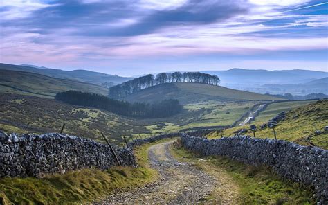 Walled Lane In Ribblesdale Yorkshire Dales North Yorkshire England