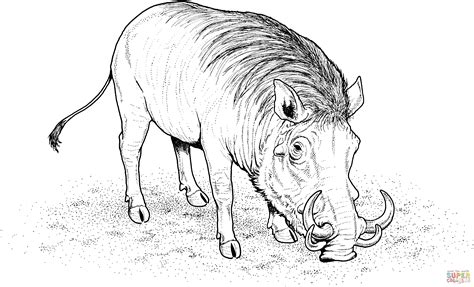Mammals Wild Boars Coloring Pages