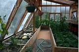 Pictures of Greenhouse Passive Solar Heating