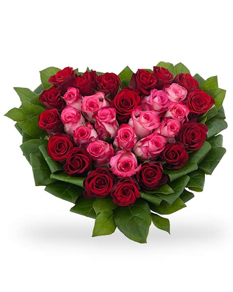 Attraverso il nostro network di fiorai professionisti di provata fiducia, possiamo consegnare fiori di rose a domicilio in tutta italia. Cuore di rose rosse e rosa con verde decorativo a domicilio.