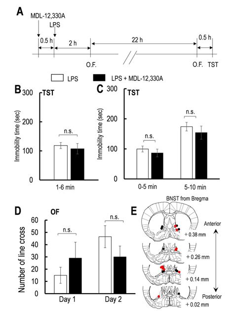 A Schedule Of LPS Injection And Behavioral Test B Effect Of Download Scientific Diagram