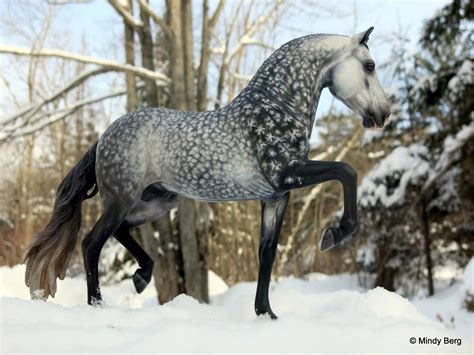 Stunning Pretty Horses Most Beautiful Horses Show Horses