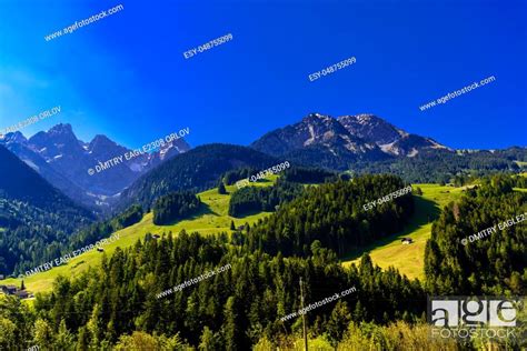 Mountains With Meadows Forest And Blue Sky In Flendruz Rougemont