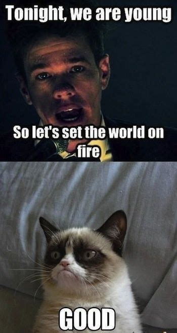 Top 40 Funny Grumpy Cat Pictures And Quotes Funny Grumpy
