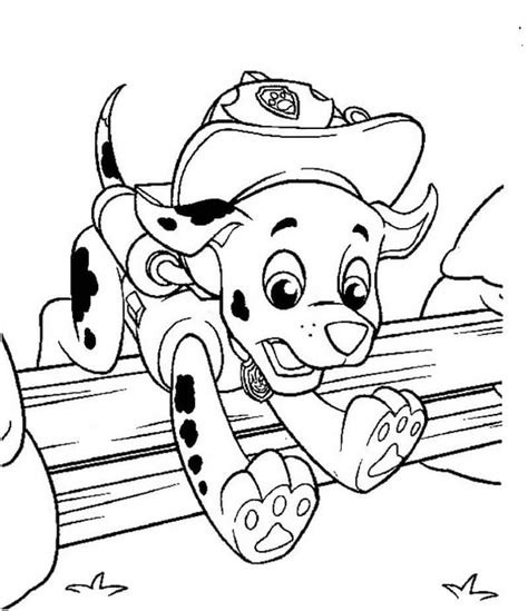 Cute Marshall Paw Patrol coloring page - Download, Print or Color