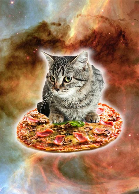 Cat Riding Pizza In Space Poster By Random Galaxy Displate