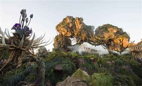 Walt Disney Worlds Newest Attraction The World Of Avatar Opens May