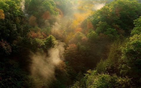 Nature Landscape Mist Fall Sunrise Forest Mountain Trees Wallpaper