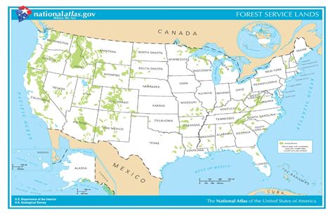 Forests Of The United States Map United States Map
