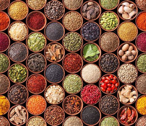 Indian Spices Herbs Seed Seasoning Masala Spice Mughlai Cooking Food